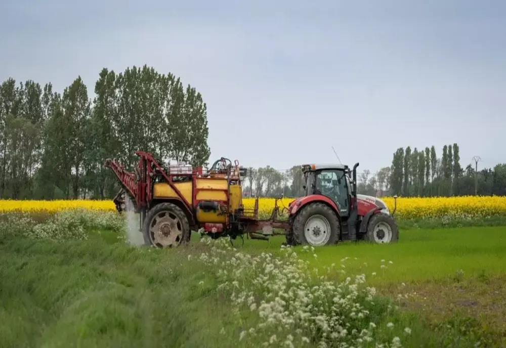 Vremea extremă scumpește mâncarea. Fenomenul El Nino aduce un șoc economic
