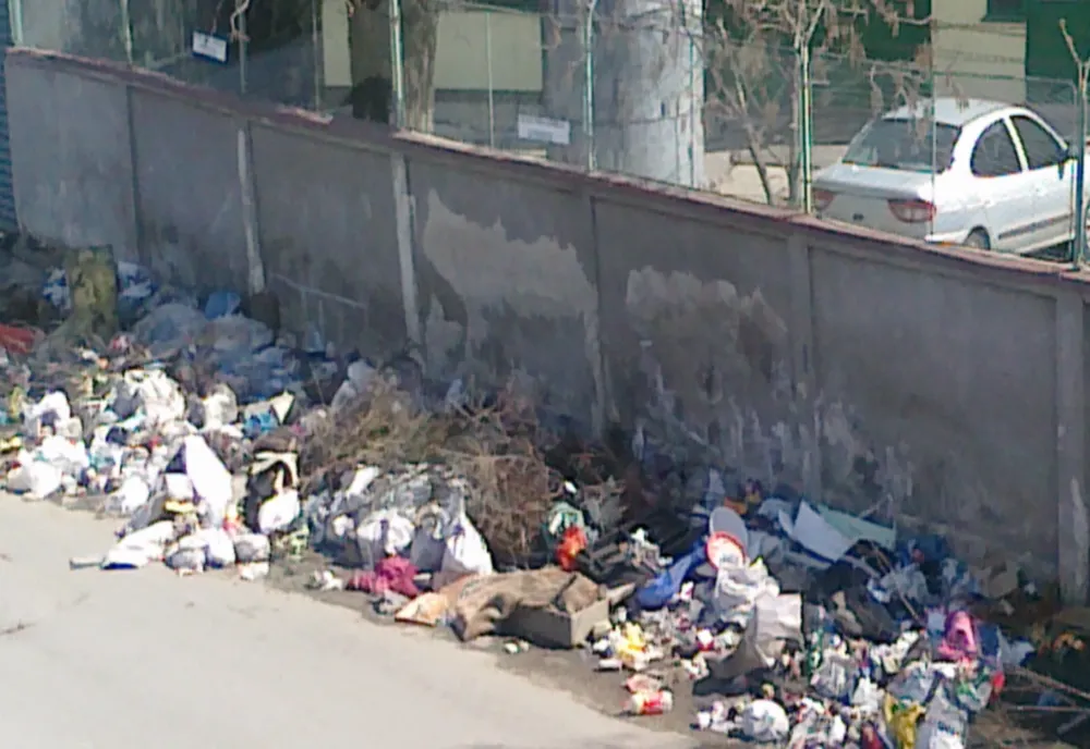 Capitala, la un pas să fie invadată de șobolani și insecte