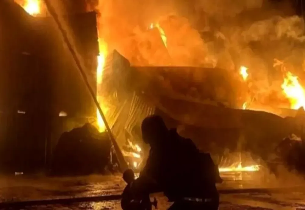 Incendiu devastator la casa lui Mircea Dinescu. Proprietatea s-a făcut scurm!