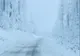 Meteo: Se anunță ninsori, polei și vânt puternic