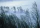 Prognoza meteo: Cod galben de polei în sudul României, avertizare de vânt puternic în sud-est