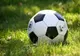 FC Voluntari, prima finalistă a Cupei României