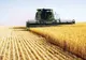 Canicula afectează culturile de vară din Europa de Est, inclusiv în România