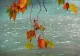 VREMEA 17 SEPTEMBRIE. FRIG ȘI PLOI ABUNDENTE 
