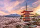 JAPONIA ȘI SUA AU AJUNS LA UN ACORD PRIVIND REDUCEREA LA 15% A TARIFELOR AUTO ȘI A TARIFELOR 'RECIPROCE'