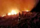 POMPIERII LUPTĂ CU TREI INCENDII DE VEGETAŢIE ÎN VESTUL TURCIEI